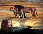BOB THE LION OF JAMAICA