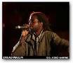DREAD MAXIM AMAR